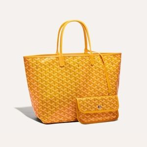 ***BRAND NEW*** Goyard St. Louis PM